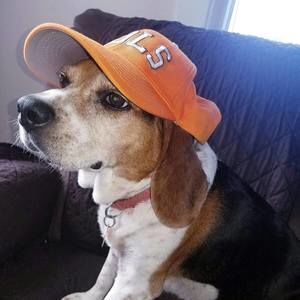 Meet your Posher, Angie